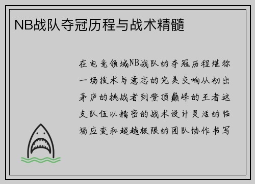 NB战队夺冠历程与战术精髓