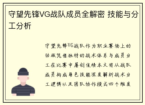 守望先锋VG战队成员全解密 技能与分工分析